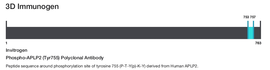 Phospho-APLP2 (Tyr755) Polyclonal Antibody