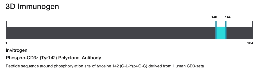 Phospho-CD3z (Tyr142) Polyclonal Antibody