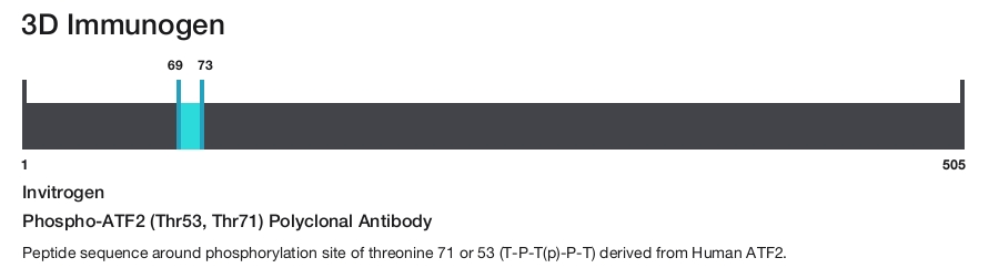 Phospho-ATF2 (Thr53, Thr71) Polyclonal Antibody