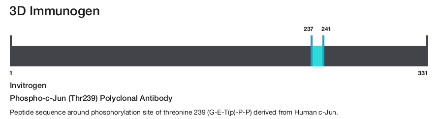 Phospho-c-Jun (Thr239) Polyclonal Antibody