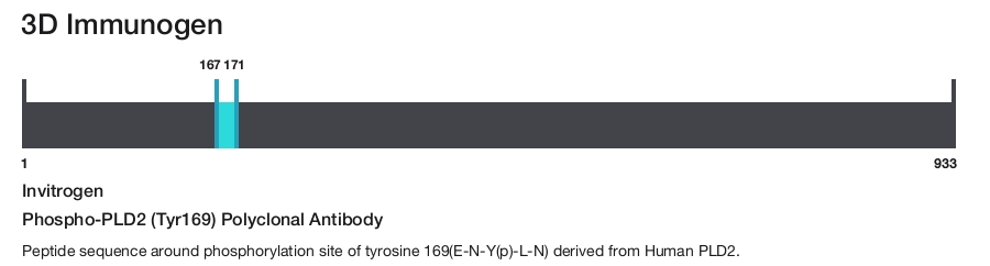 Phospho-PLD2 (Tyr169) Polyclonal Antibody