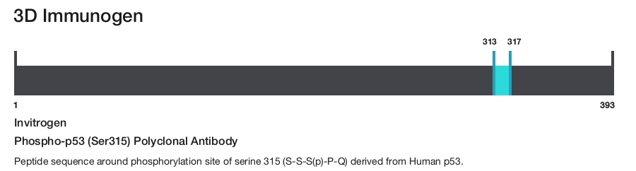 Phospho-p53 (Ser315) Polyclonal Antibody
