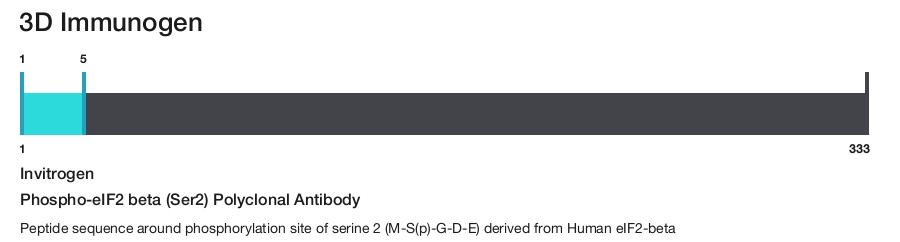 Phospho-eIF2 beta (Ser2) Polyclonal Antibody