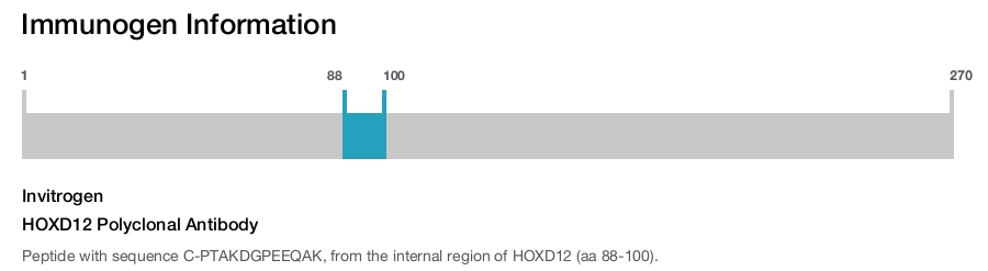 HOXD12 Polyclonal Antibody