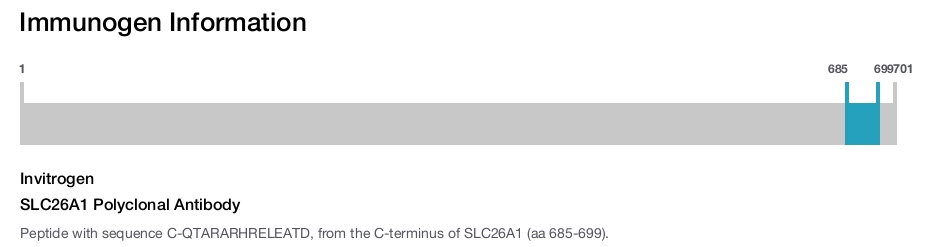 SLC26A1 Polyclonal Antibody