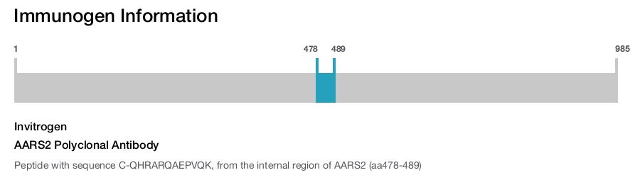 AARS2 Polyclonal Antibody