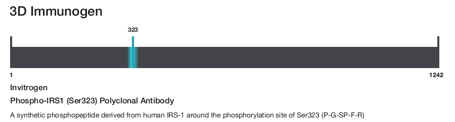 Phospho-IRS1 (Ser323) Polyclonal Antibody