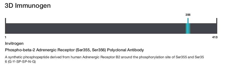 Phospho-beta-2 Adrenergic Receptor (Ser355, Ser356) Polyclonal Antibody