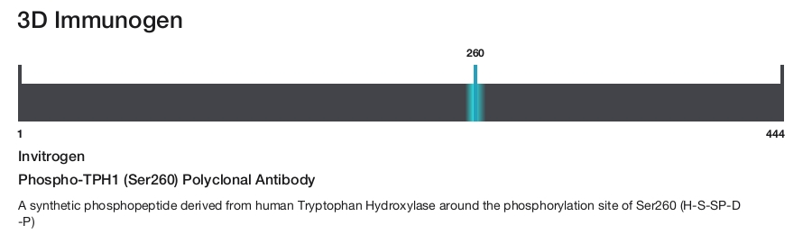Phospho-TPH1 (Ser260) Polyclonal Antibody