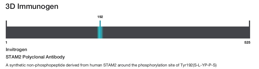 STAM2 Polyclonal Antibody