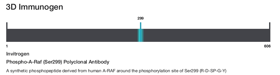 Phospho-A-Raf (Ser299) Polyclonal Antibody