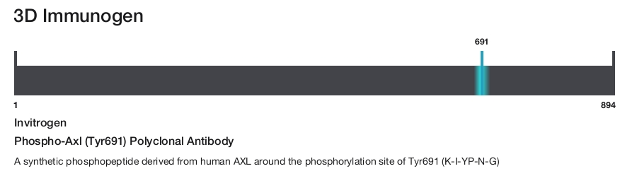 Phospho-Axl (Tyr691) Polyclonal Antibody