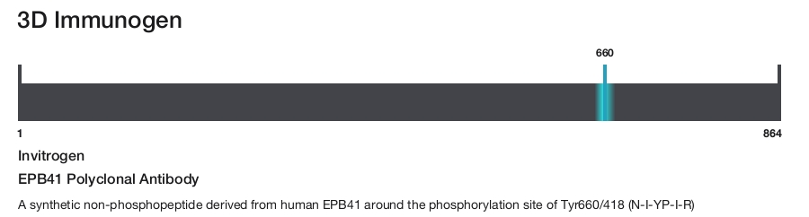 EPB41 Polyclonal Antibody