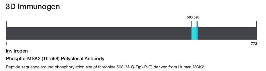 Phospho-MSK2 (Thr568) Polyclonal Antibody