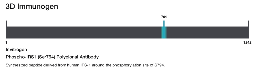 Phospho-IRS1 (Ser794) Polyclonal Antibody