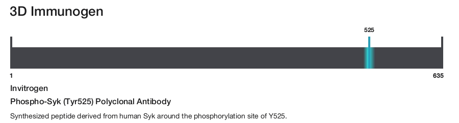 Phospho-Syk (Tyr525) Polyclonal Antibody