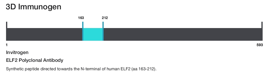 ELF2 Polyclonal Antibody