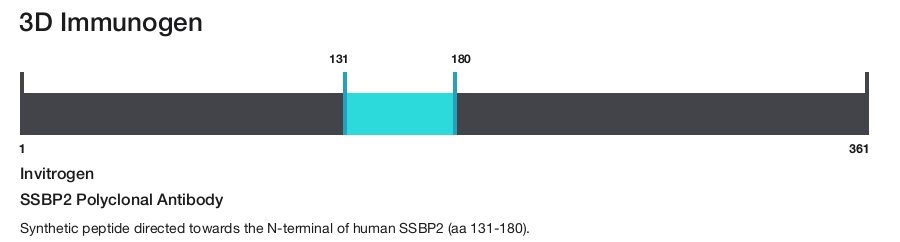 SSBP2 Polyclonal Antibody