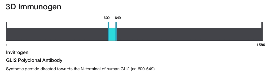GLI2 Polyclonal Antibody