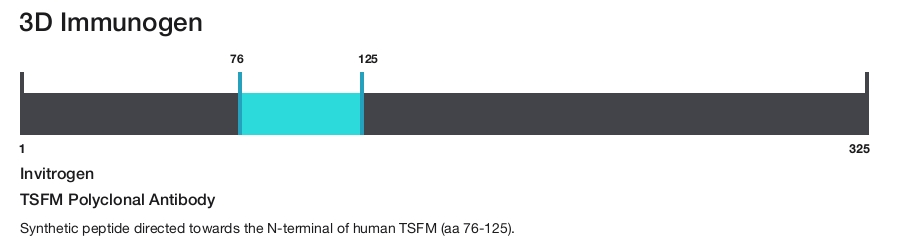 TSFM Polyclonal Antibody
