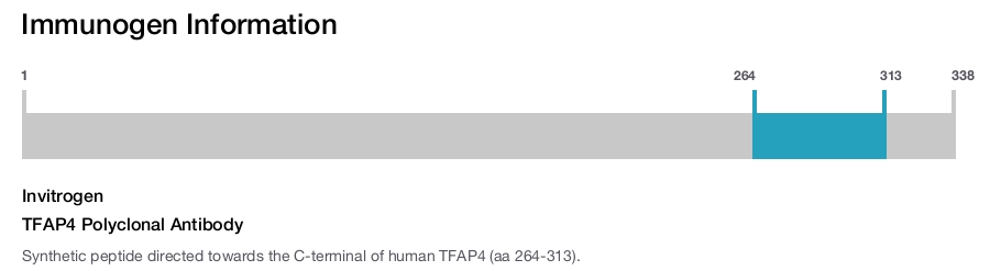 TFAP4 Polyclonal Antibody