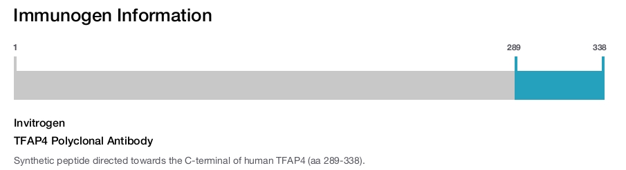 TFAP4 Polyclonal Antibody