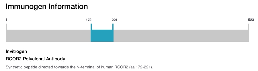 RCOR2 Polyclonal Antibody