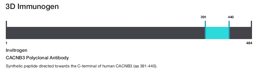CACNB3 Polyclonal Antibody