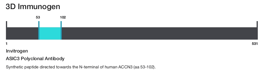 ASIC3 Polyclonal Antibody