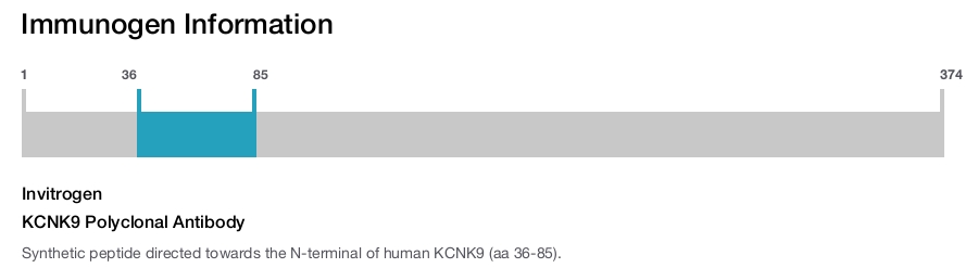 KCNK9 Polyclonal Antibody
