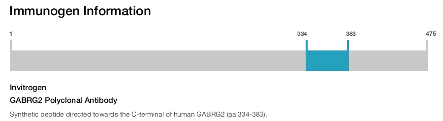 GABRG2 Polyclonal Antibody