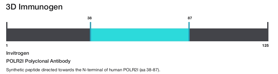 POLR2I Polyclonal Antibody