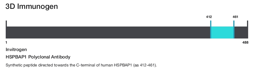 HSPBAP1 Polyclonal Antibody