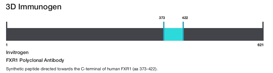 FXR1 Polyclonal Antibody