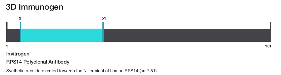 RPS14 Polyclonal Antibody
