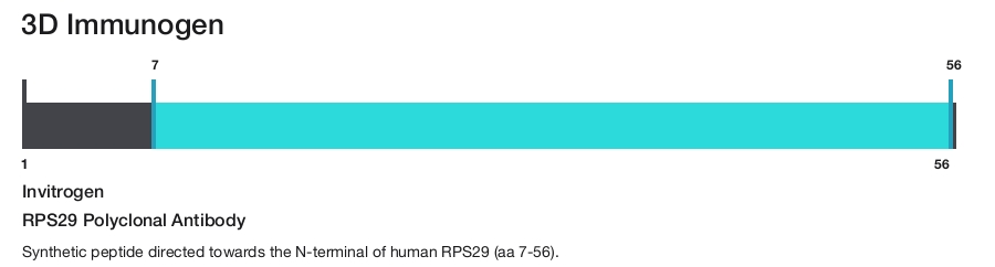 RPS29 Polyclonal Antibody
