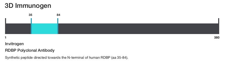 RDBP Polyclonal Antibody