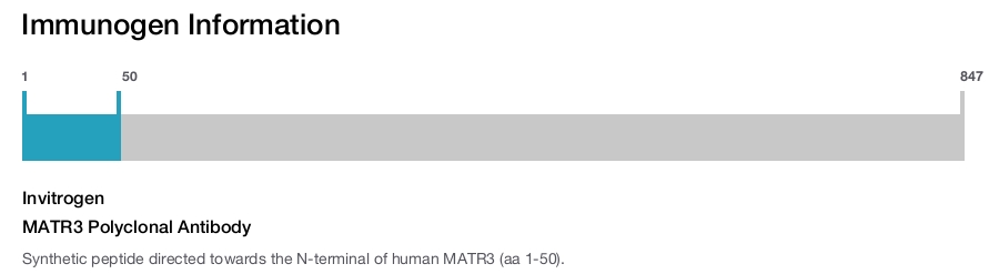 MATR3 Polyclonal Antibody