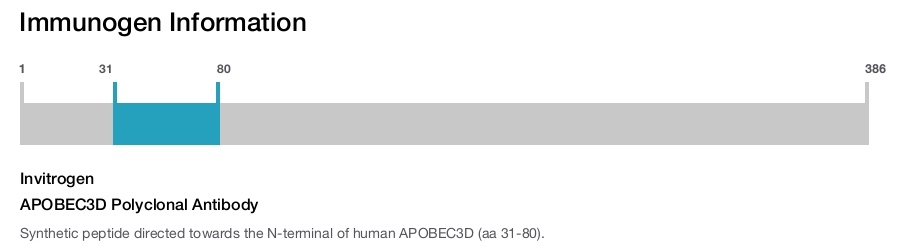APOBEC3D Polyclonal Antibody