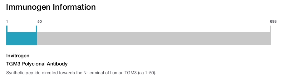 TGM3 Polyclonal Antibody