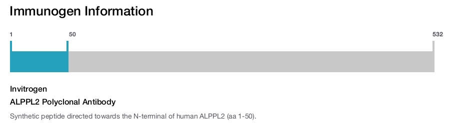 ALPPL2 Polyclonal Antibody