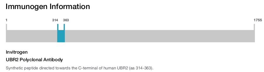 UBR2 Polyclonal Antibody