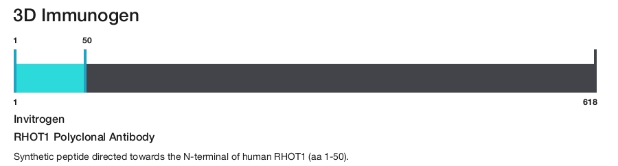RHOT1 Polyclonal Antibody