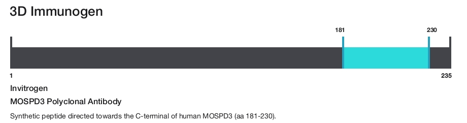 MOSPD3 Polyclonal Antibody