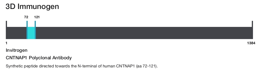 CNTNAP1 Polyclonal Antibody