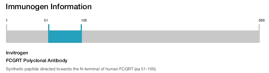 FCGRT Polyclonal Antibody