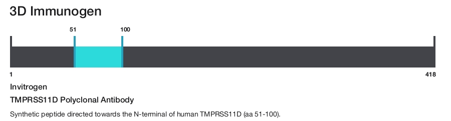 TMPRSS11D Polyclonal Antibody
