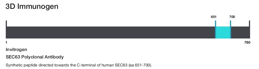 SEC63 Polyclonal Antibody