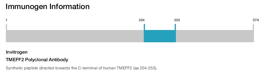 TMEFF2 Polyclonal Antibody