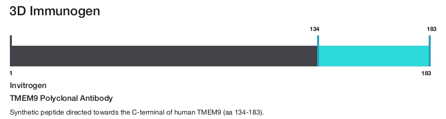 TMEM9 Polyclonal Antibody